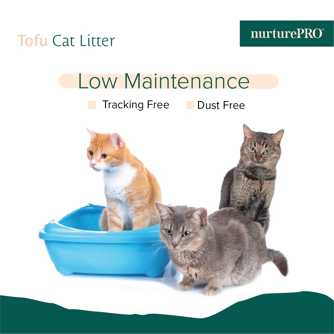 [Buy 2 For $15] Nurture Pro Tofu Cat Litter (Total 12L)