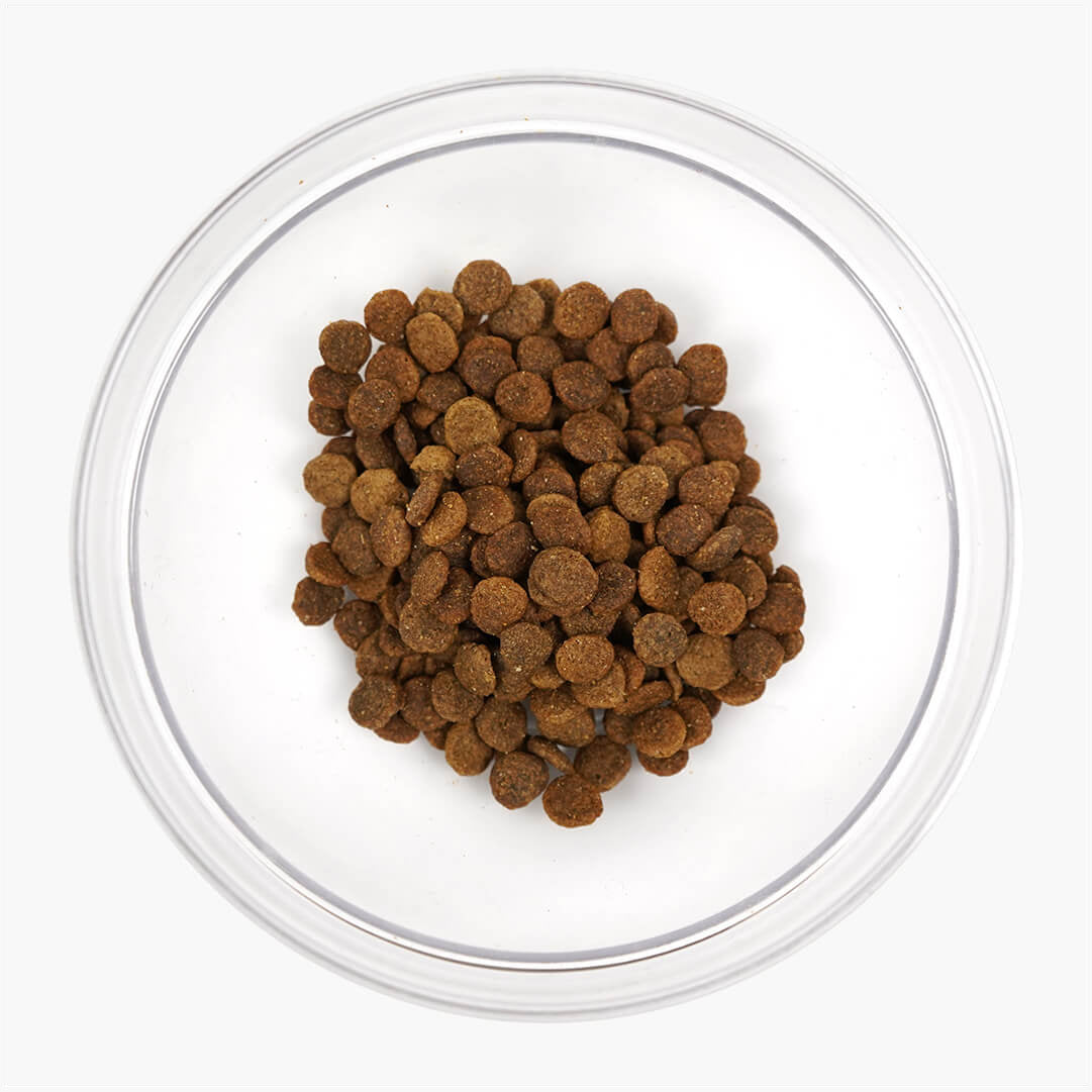 Nurture Pro Nourish Life Salmon Formula for Adult Dog Dry Food (3 sizes)