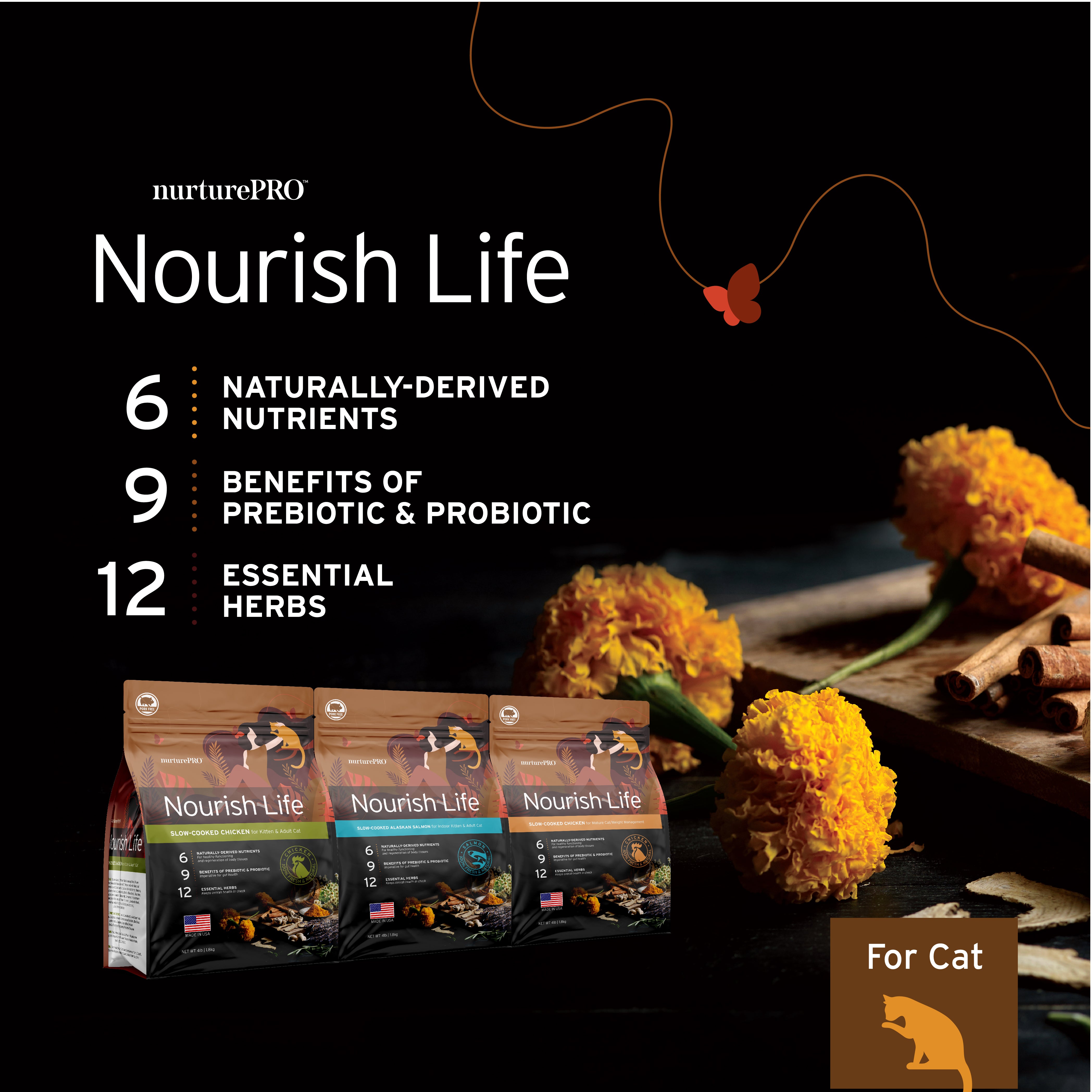 Nurture Pro Nourish Life Alaskan Salmon Formula for Indoor Cat Dry Food (2 sizes)