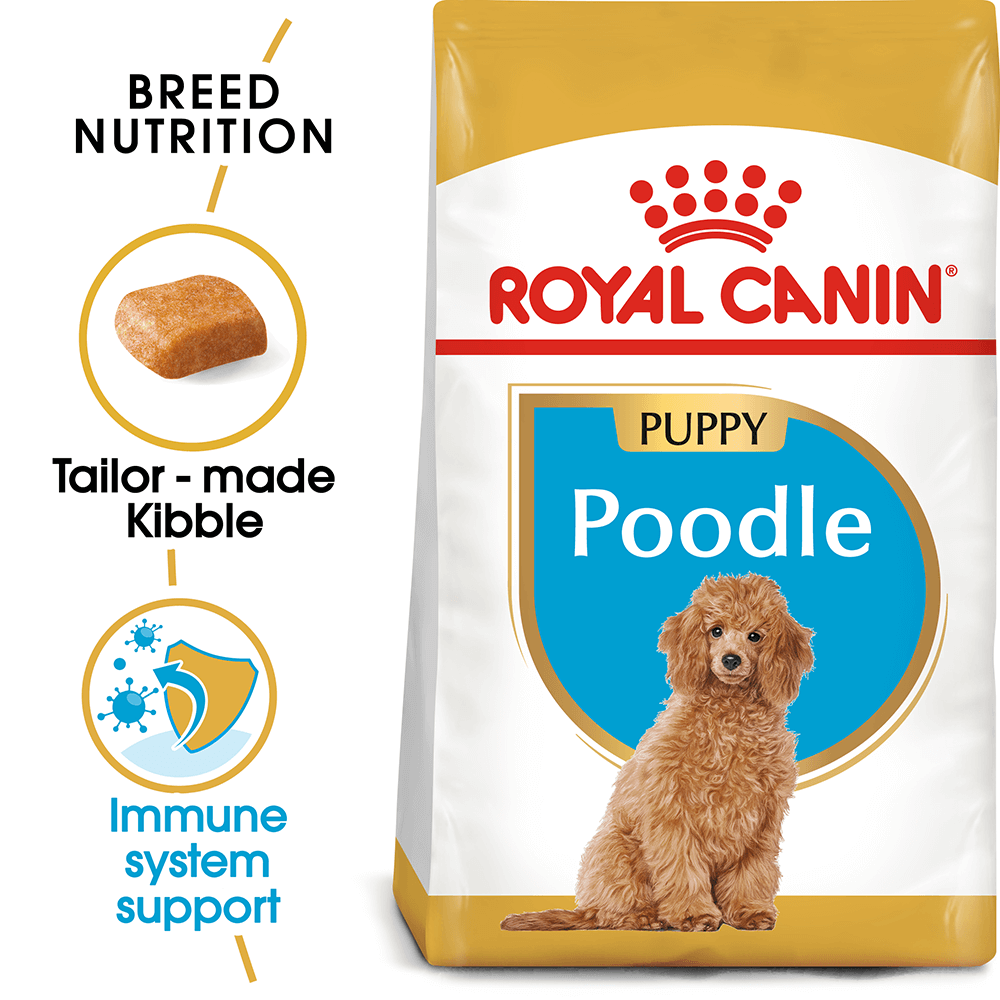 Royal Canin Poodle Puppy Dog Dry Food 3kg