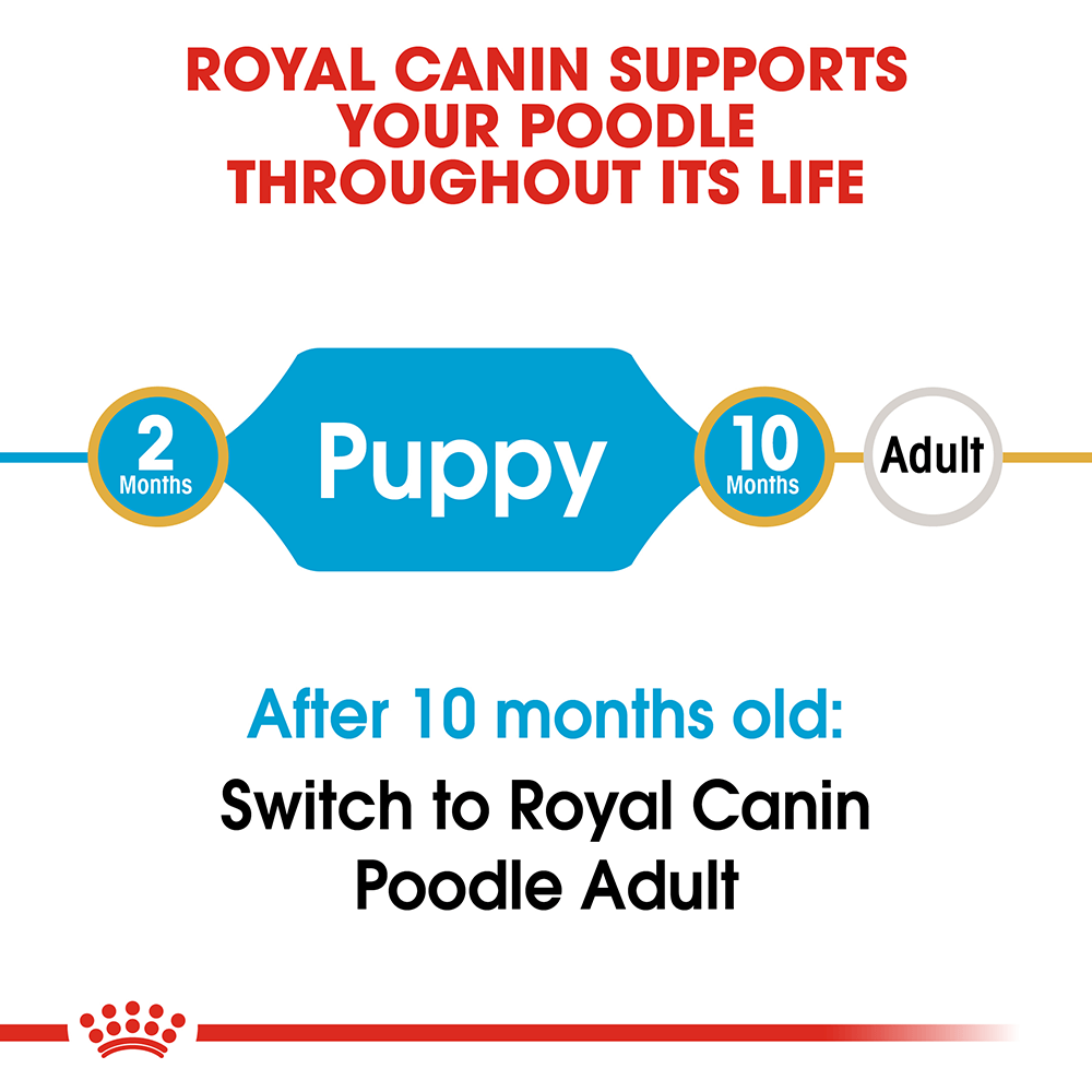 Royal Canin Poodle Puppy Dog Dry Food 3kg